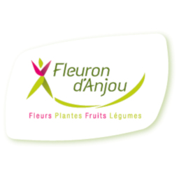 Fleurons d