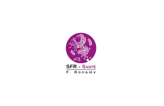 Logo SFR-BONAMY