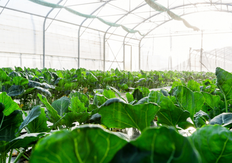 Plants - seeds sector in Atlantic France