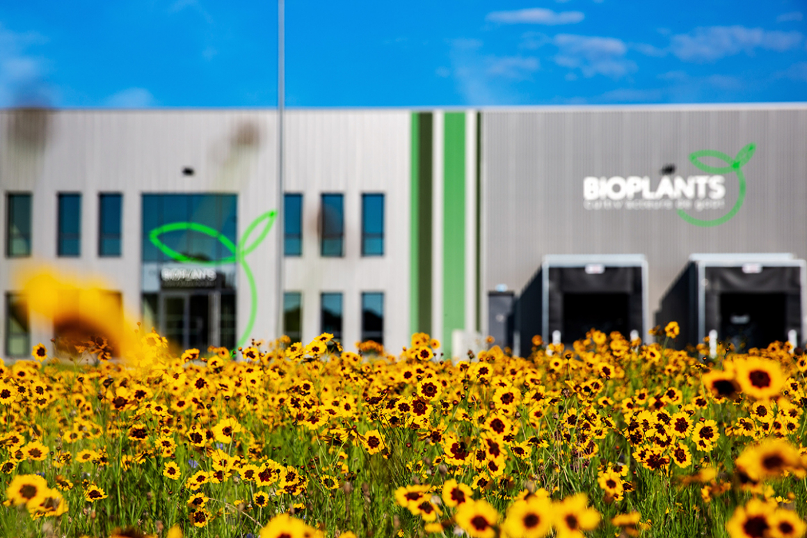 Plant production - Bioplants in Angers