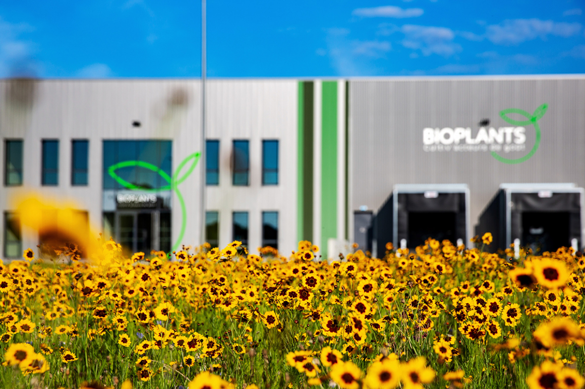 Plant production - Bioplants in Angers