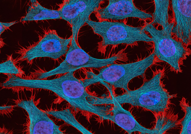 Biotherapies