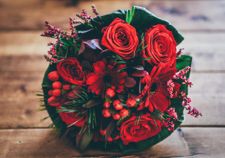 Bigot fleurs, plant production in Atlantic France